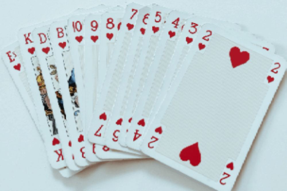 Ældre Sagen i Solrøds bridge